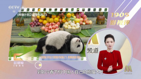 亚洲精品乱码久久久久久蜜桃图片